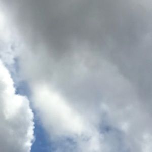 Meet your Posher, Jade